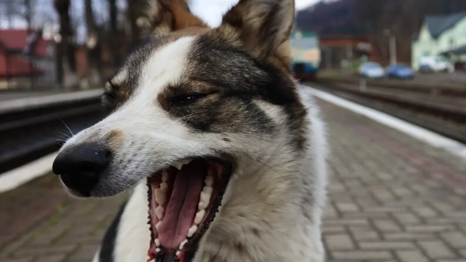 Фото: freepik.com