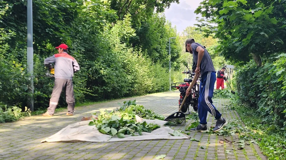 Фото: Максим Сафронов