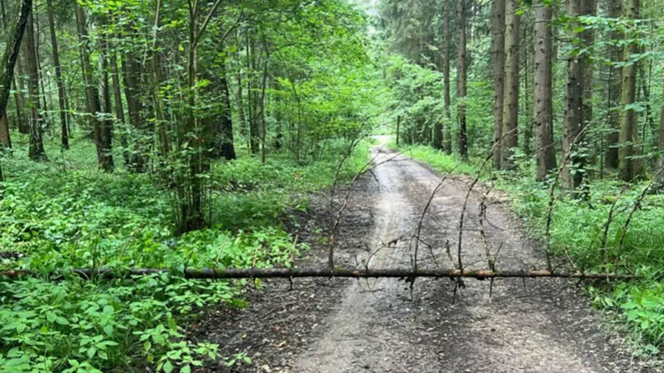 Фото: пресс-служба администрации г.о. Подольск