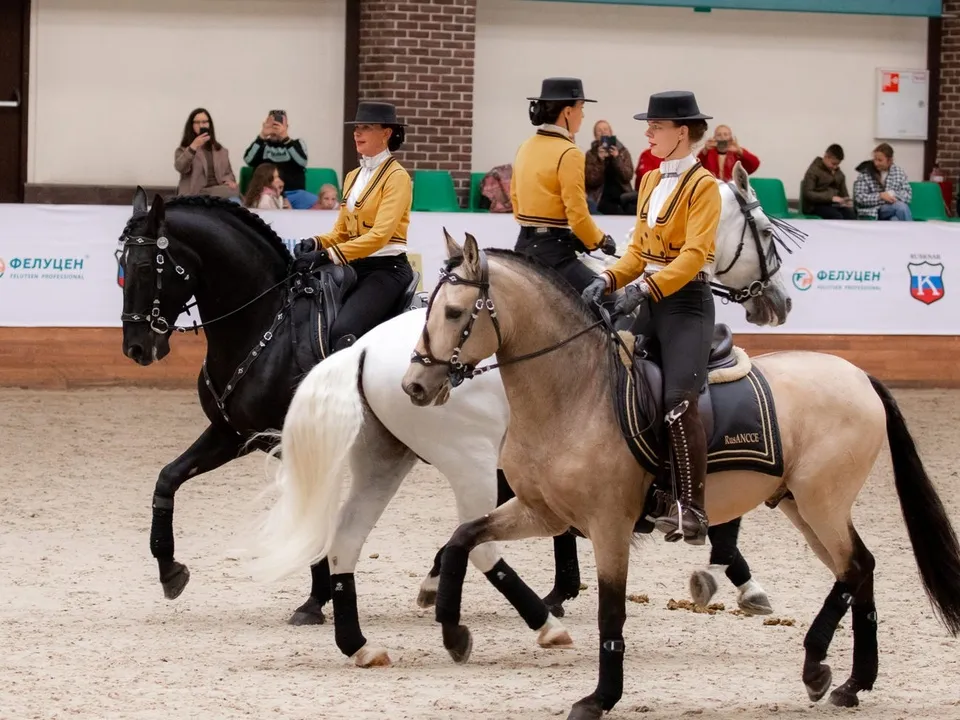 Фото: vk.com/Конная Россия