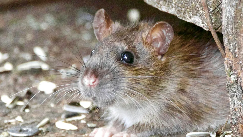 Фото: unsplash.com