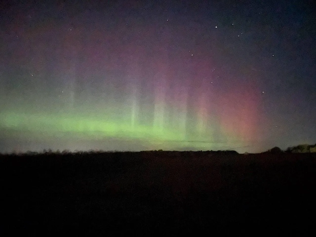 Дарья Леонова