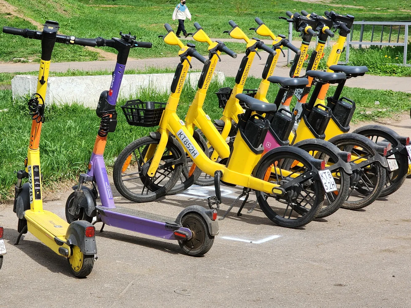 Фото: МедиаБанк Подмосковья/Ольга Смаргинская