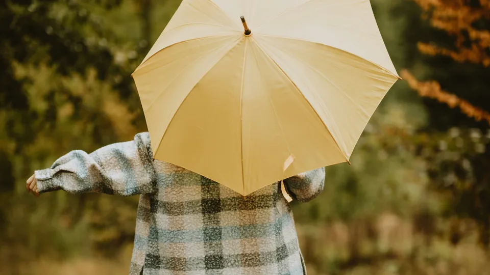 Фото: unsplash.com