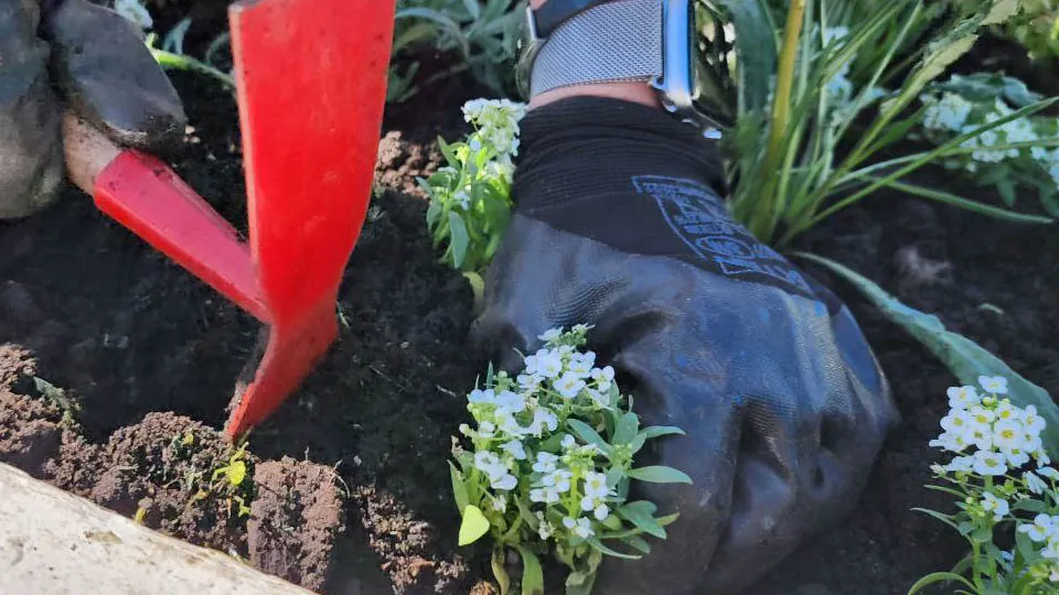 Фото: Медиабанк Подмосковья/Яна Шаливская