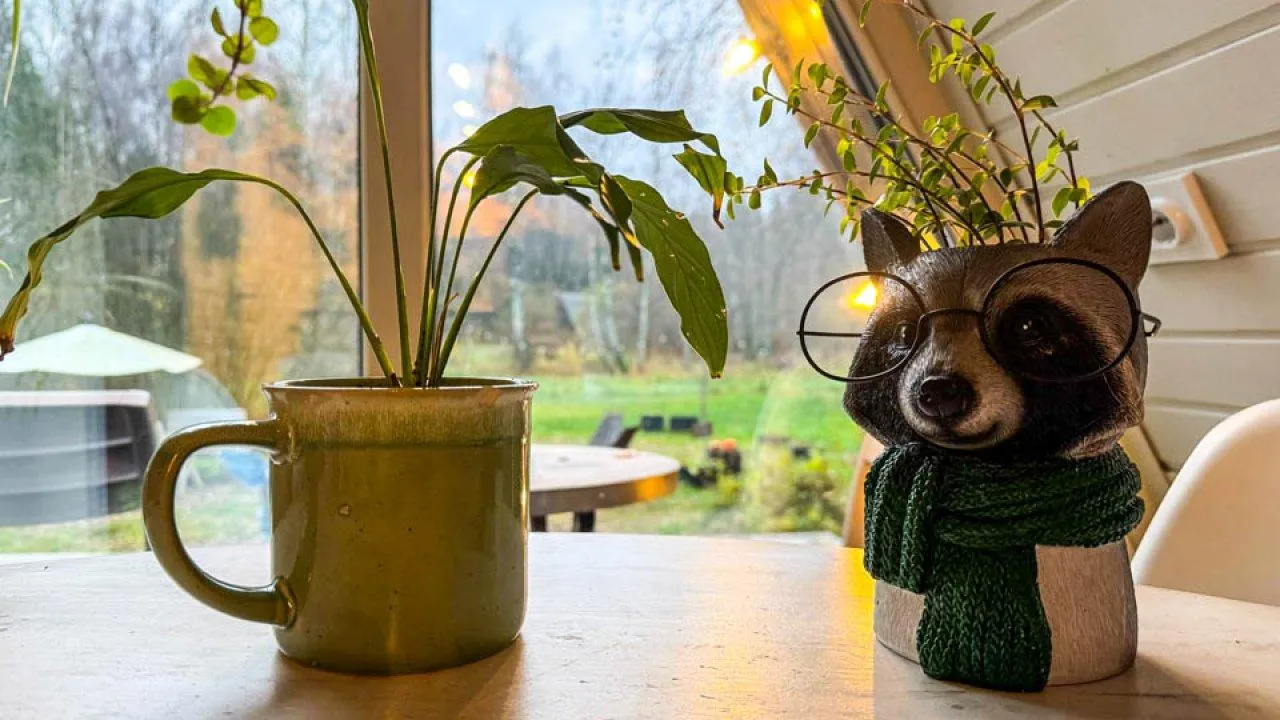 REGIONS/Владимир Ерастов