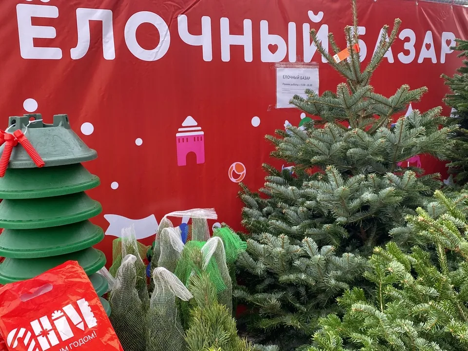 Фото: МедиаБанк Подмосковья/Дарья Шапочкина