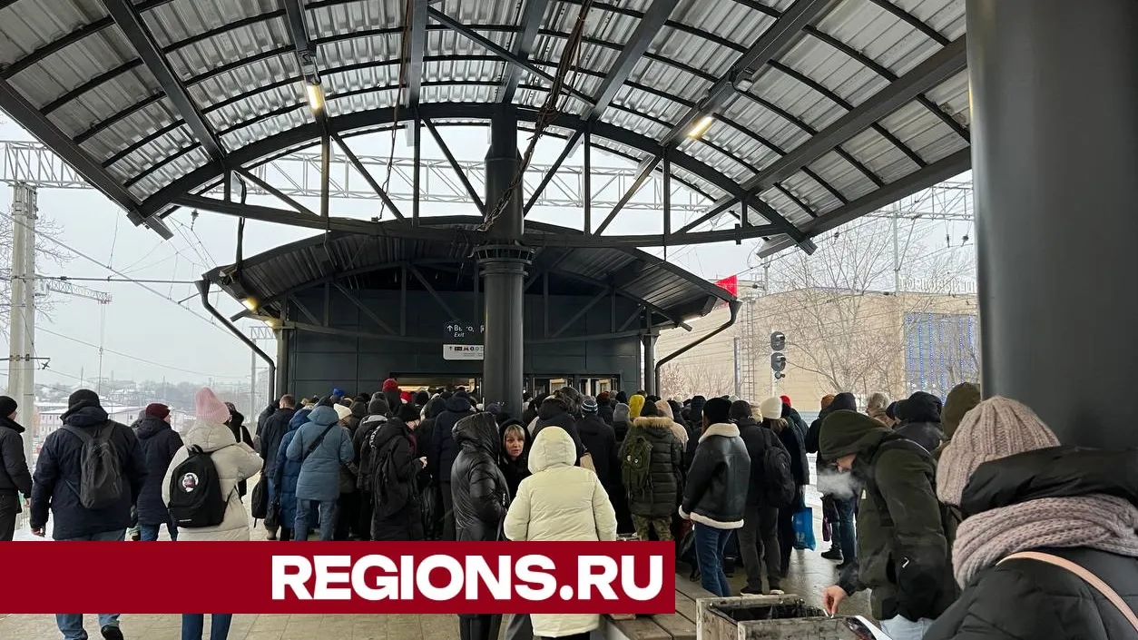 Фото: Илья Попов