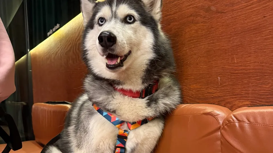 Фото: REGIONS/Валерия Ковешникова