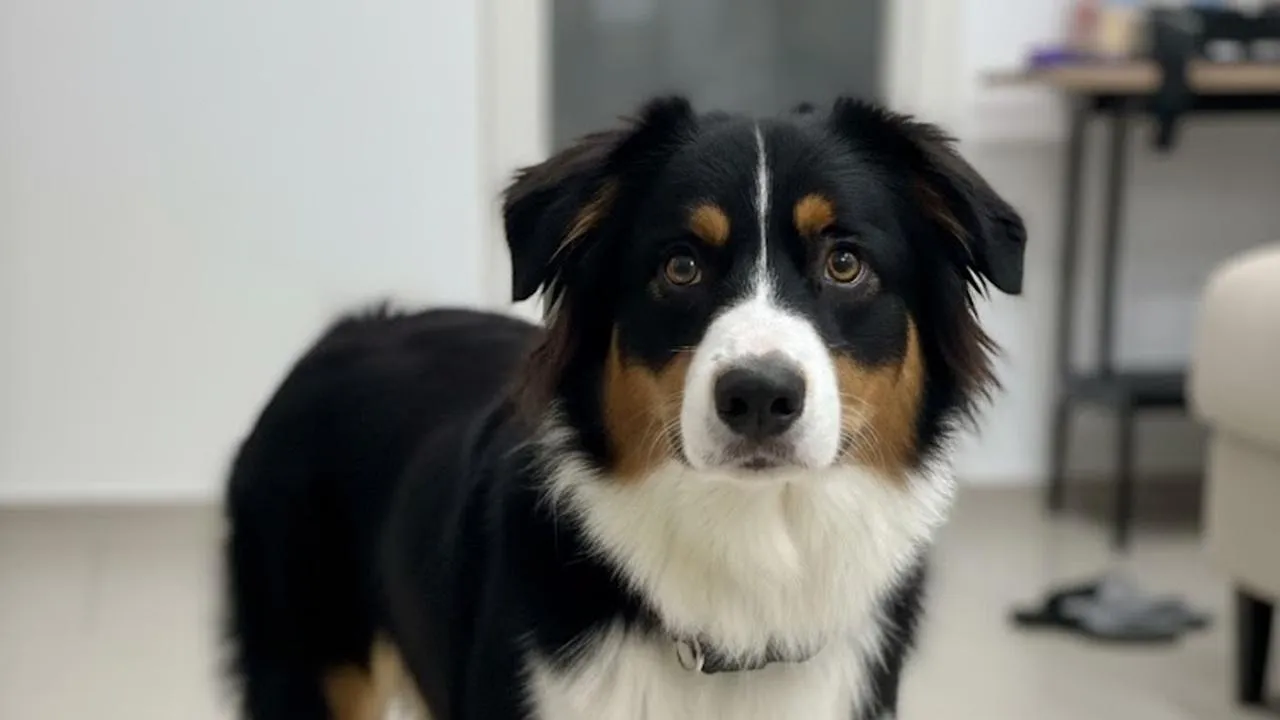 REGIONS/Сгенерировано нейросетью