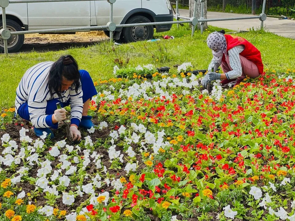 Фото: t.me/ty_kraskovo_malahovka