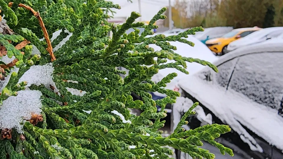 Фото: REGIONS/Наталия Надточая