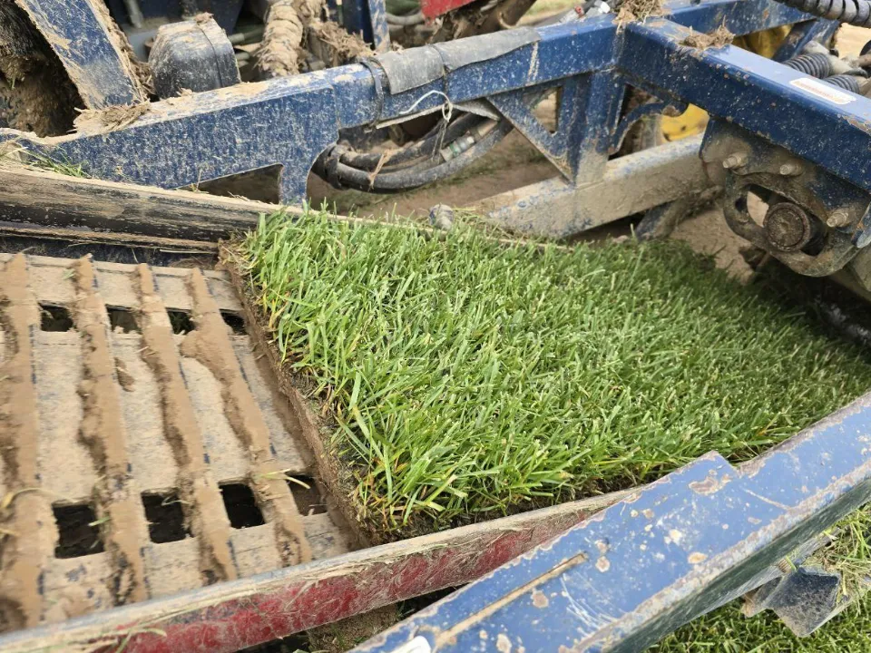 Фото: Яна Шаливская