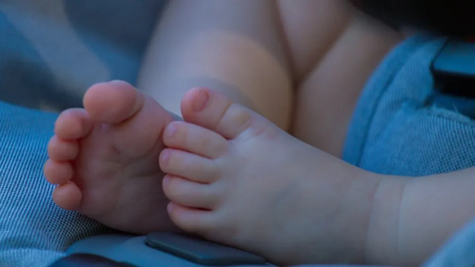 Фото: REGIONS/Владимир Ерастов