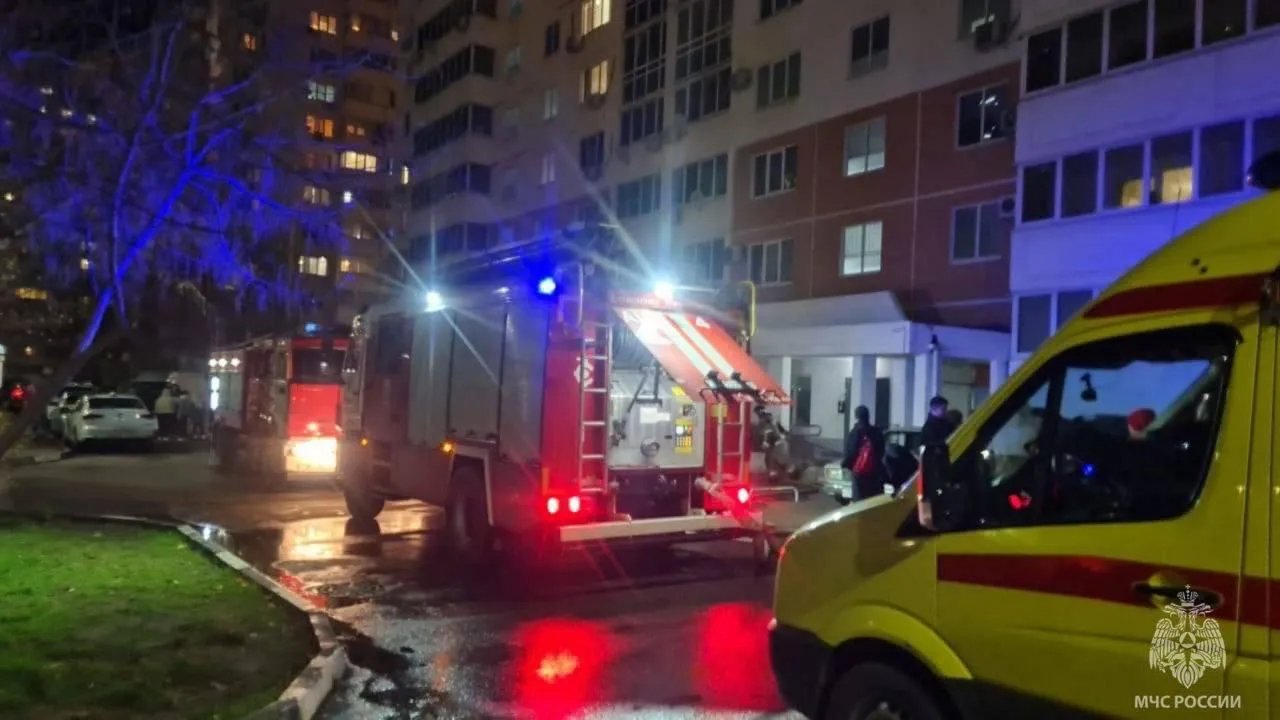 Фото: МЧС России