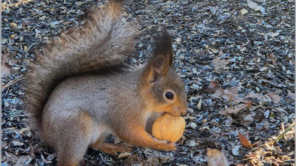 Фото: Виктор Линьков