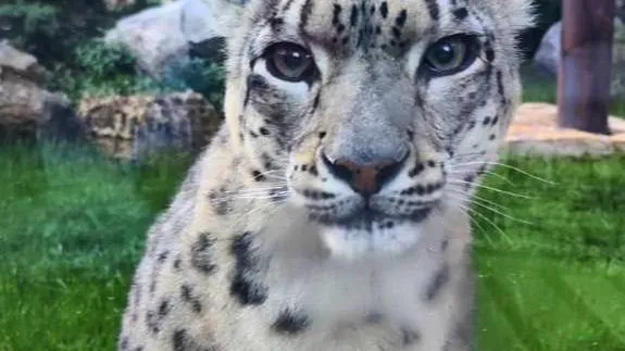 Фото:t.me/rare_animals_zoo