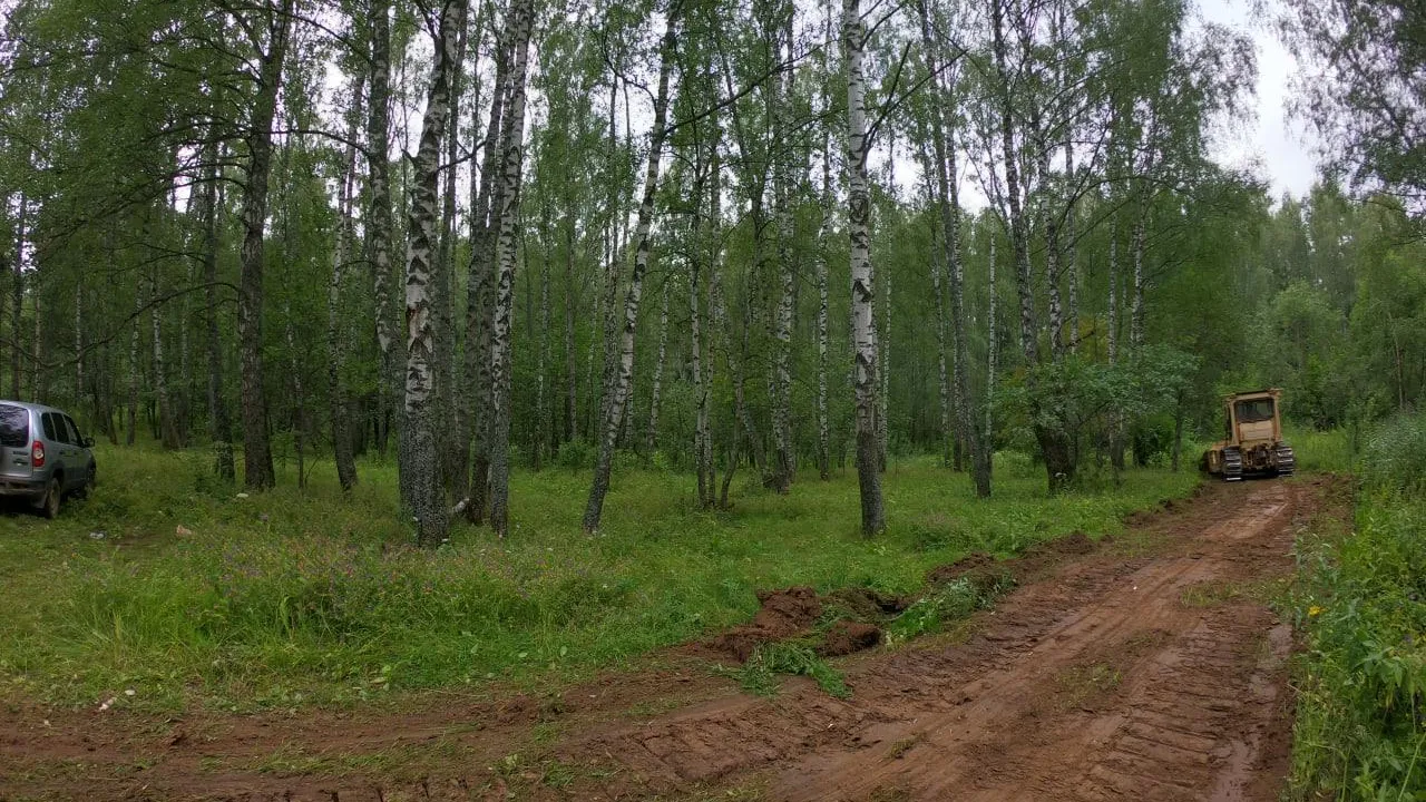 Работы по противопожарному обустройству завершаются в лесах Московской области