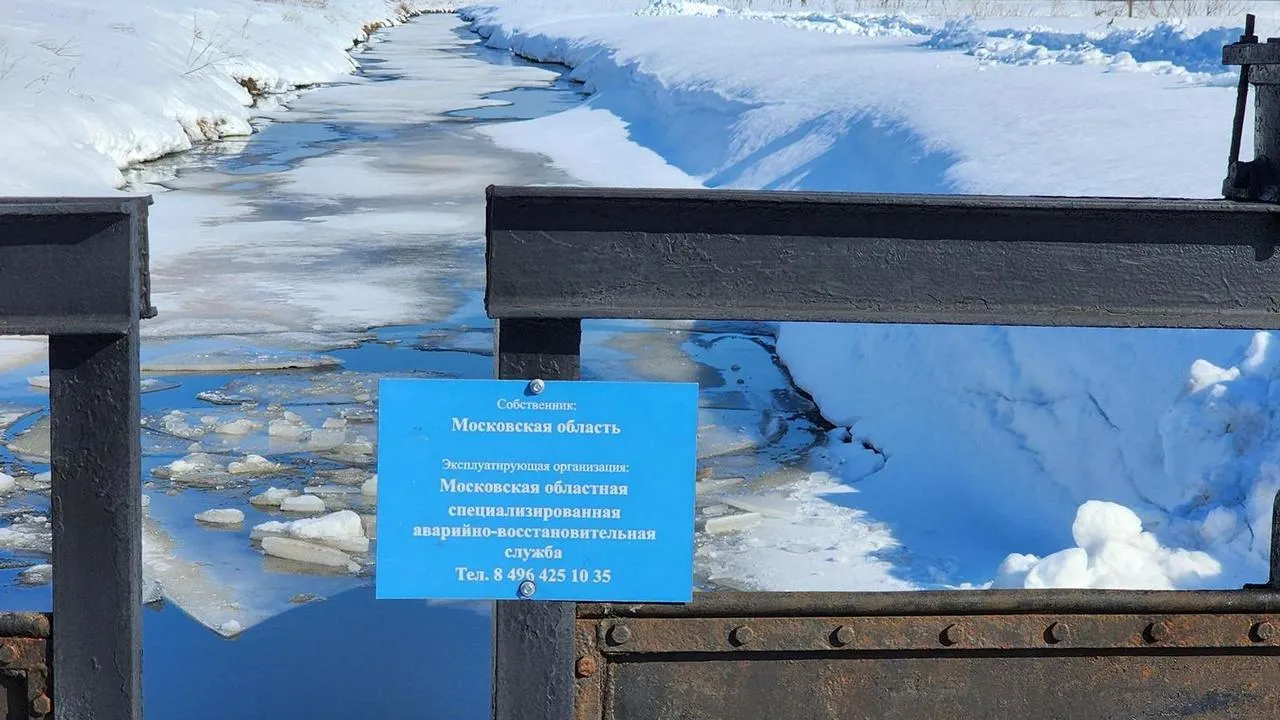 МедиаБанк Подмосковья/Анна Шолохова