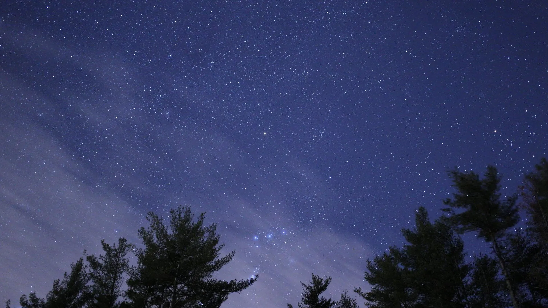 фото: pxhere.com