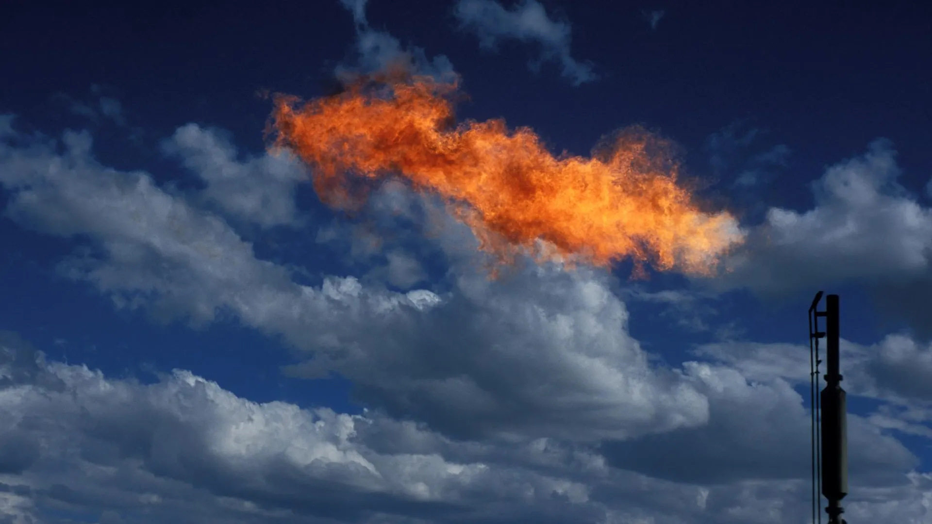 Gary Braasch/ZUMAPRESS.com/Global Look Press