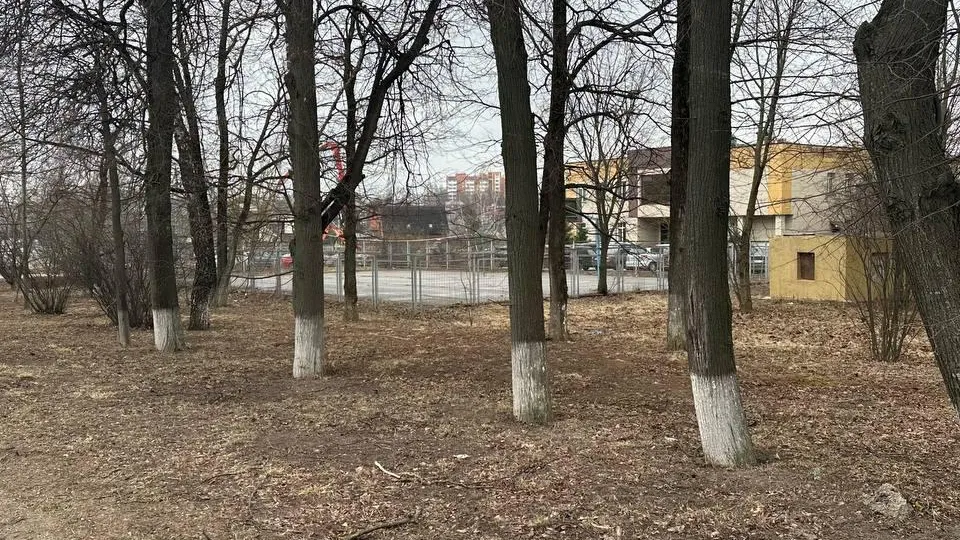 Фото: Эдуард Стратонов