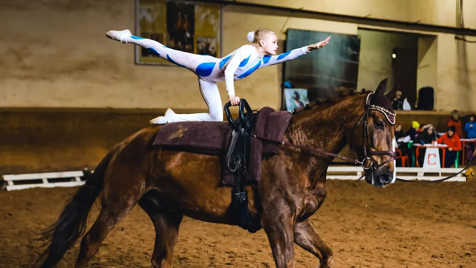 Фото: пресс-служба администрации г.о. Химки