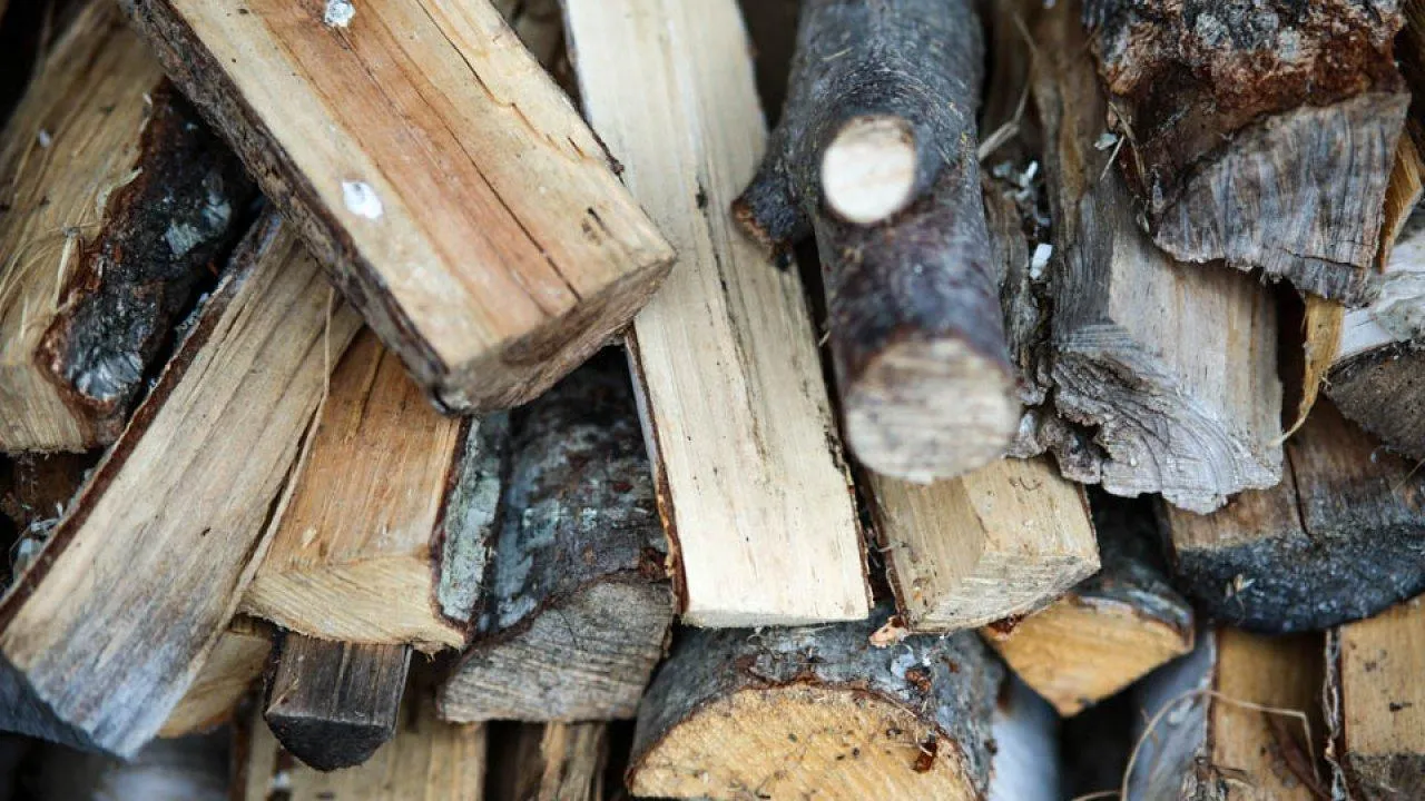 REGIONS/Владимир Ерастов