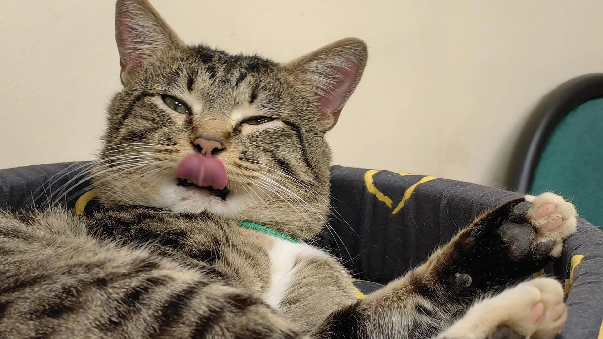 Фото: администрация г.о.Клин