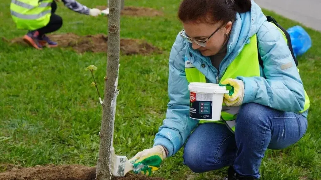 Фото: Министерство по содержанию территорий и государственному жилищному надзору МО