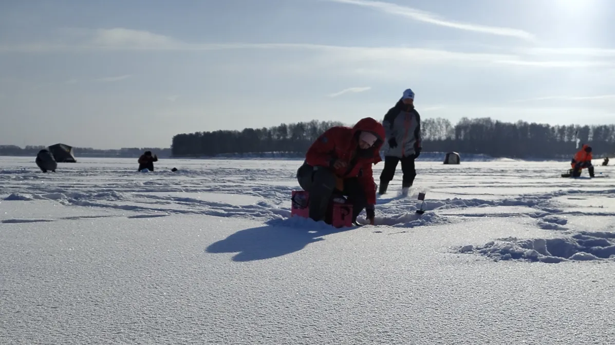 Фото: МедиаБанк Подмосковья/Евгения Люкайтис