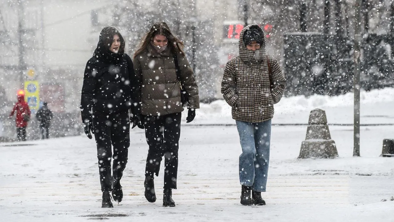 медиасток.рф