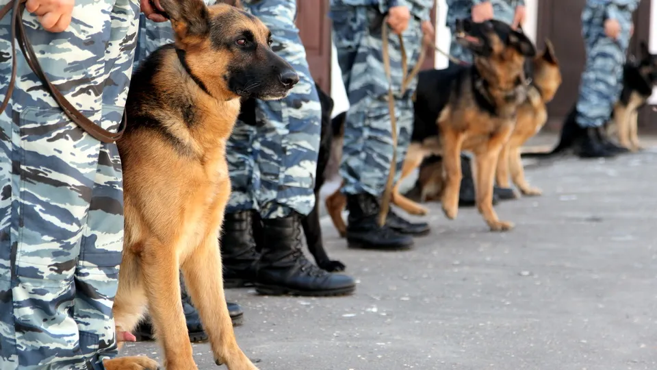 Фото: медиасток.рф