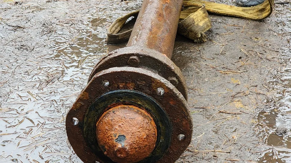 Фото: МедиаБанк Подмосковья/Юлия Скавронова