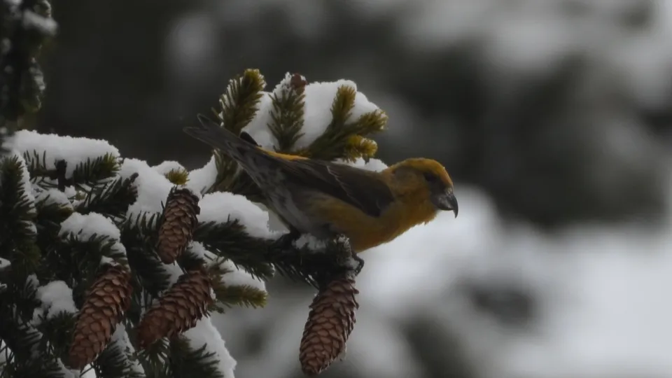 Фото: Борис Коротков/личный архив