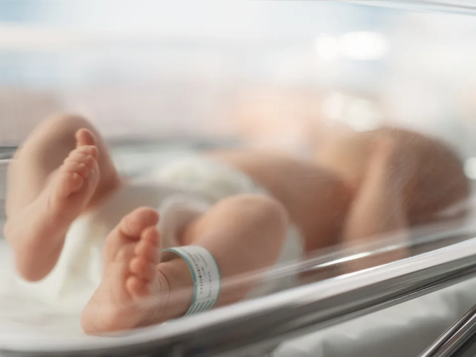 Фото: istockphoto.com/gorodenkoff&nbsp;