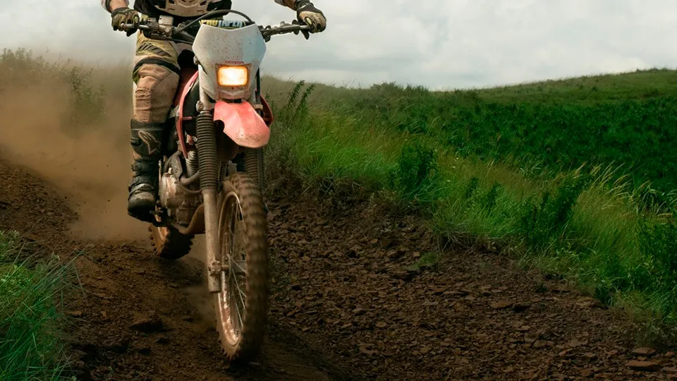 Фото: pxhere.com