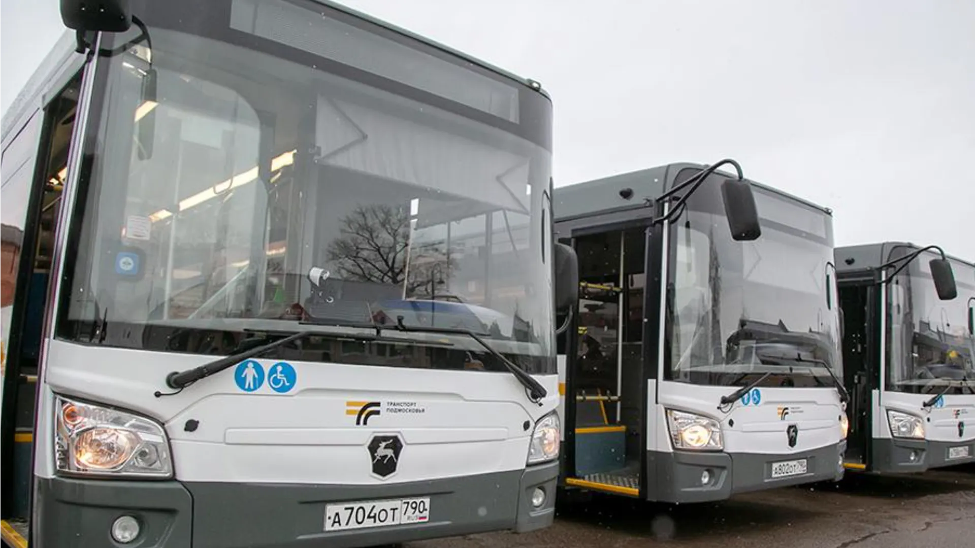 Фото: пресс-служба губернатора и правительства Московской области