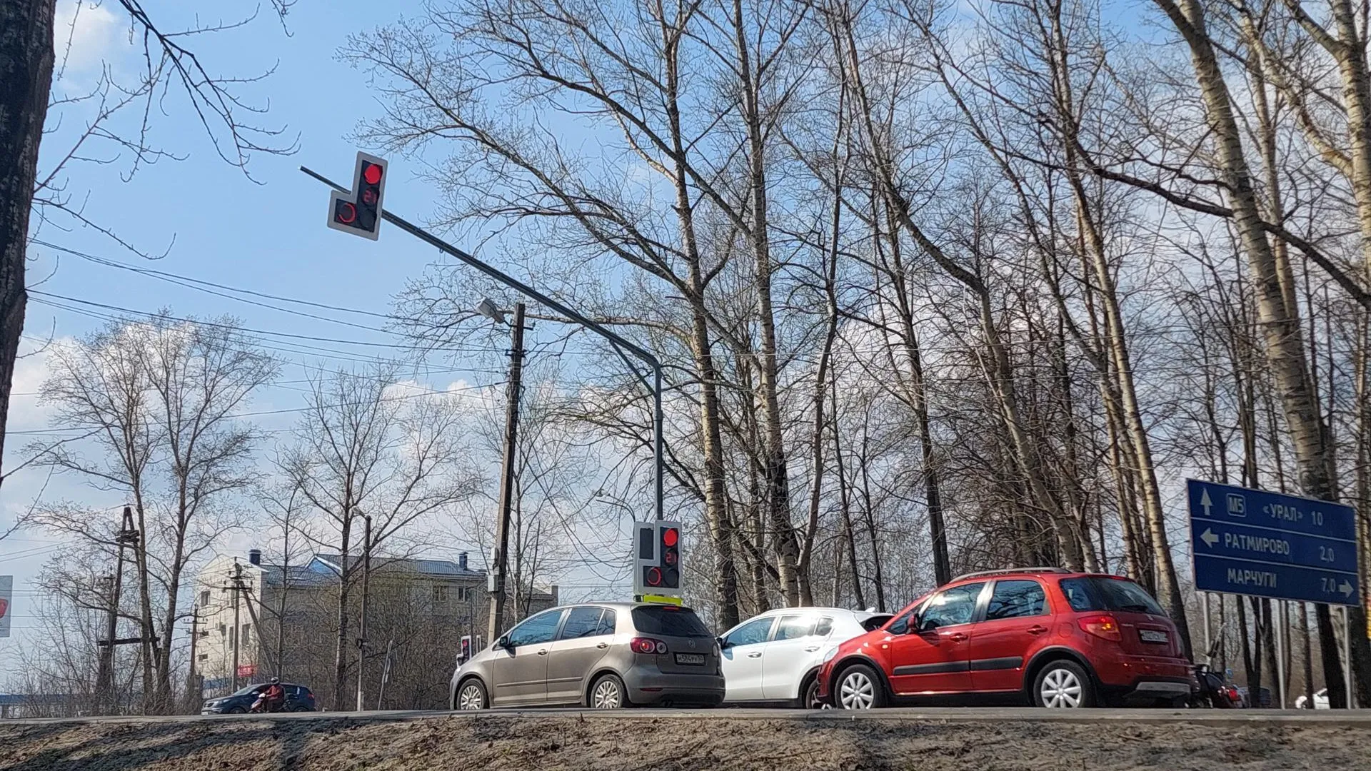 Фото: Светлана Плотникова