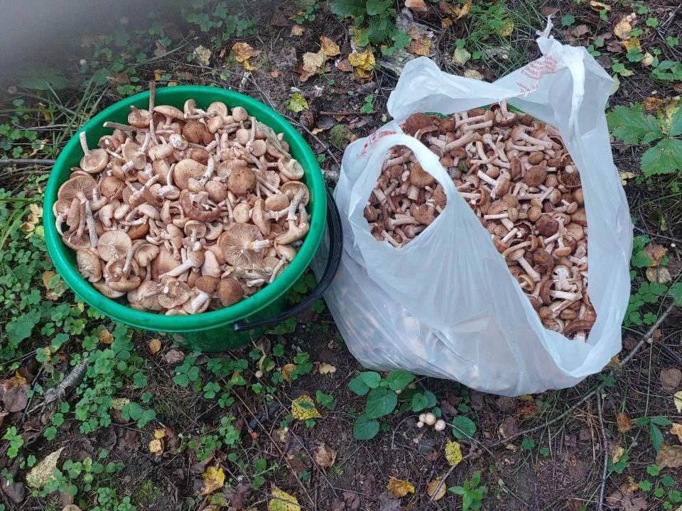 Фото: предоставлено собеседницей