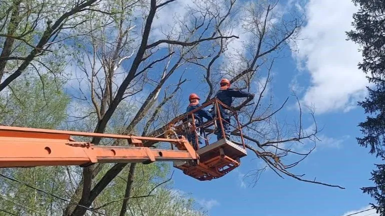 Фото: Мособлэнерго
