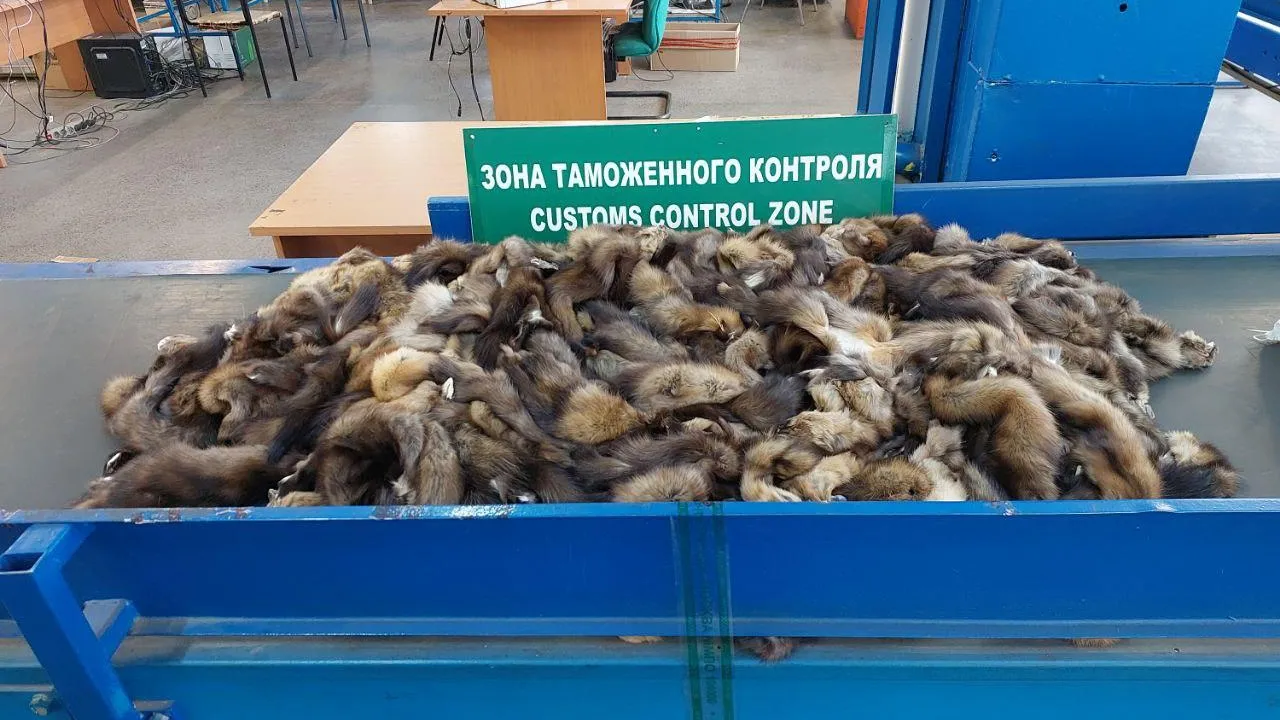 пресс-служба Центральной почтовой таможни