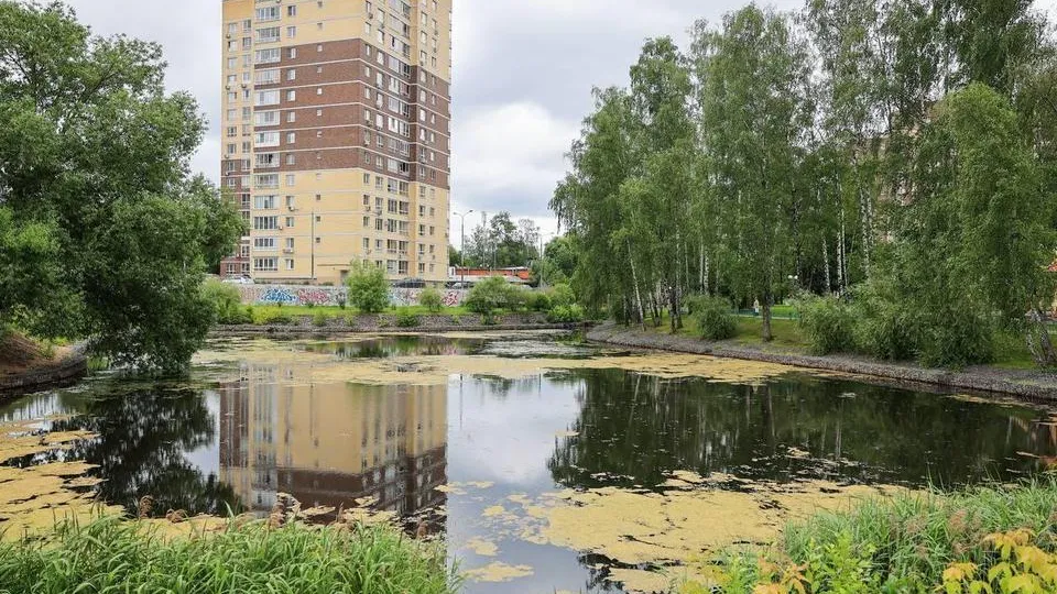 Фото: пресс-служба администрации г.о. Мытищи