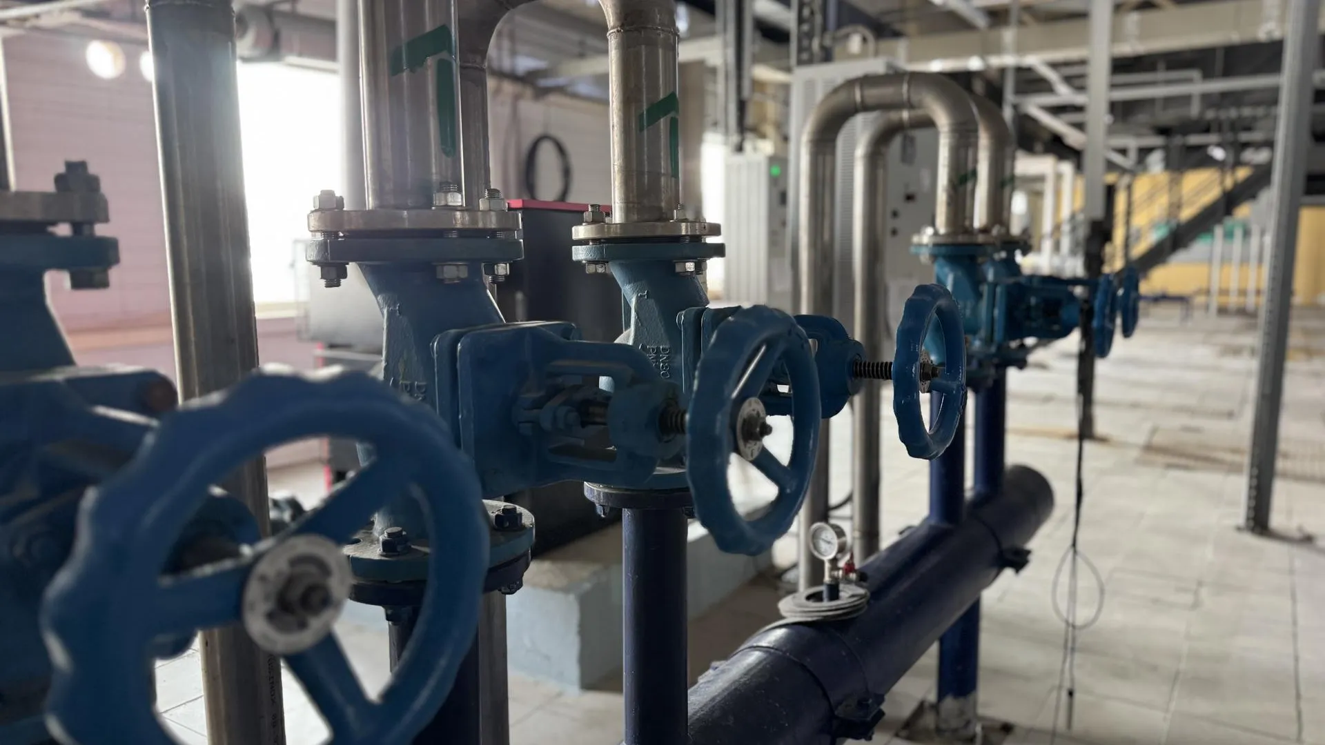 Полина Абраменко