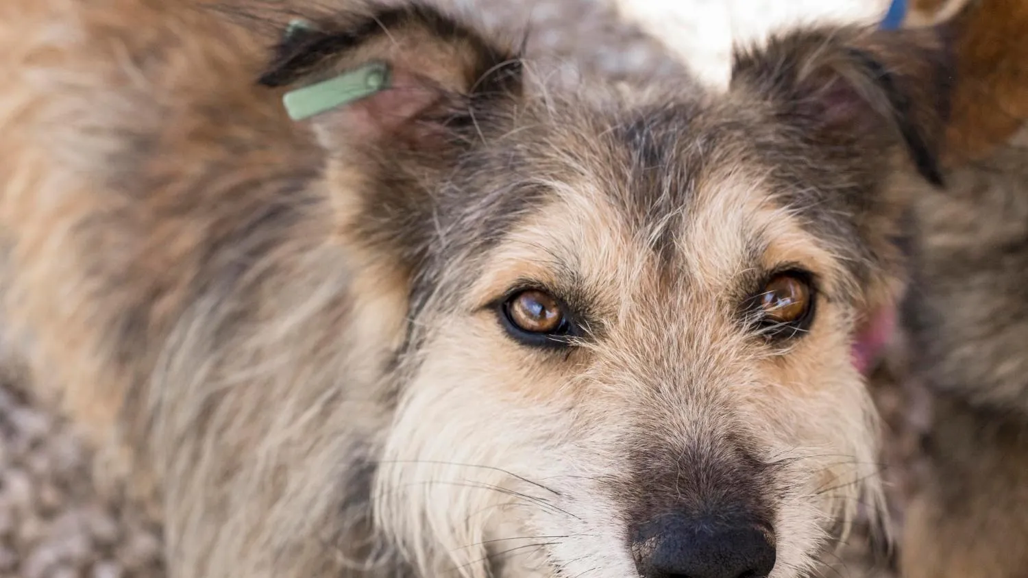 медиасток.рф