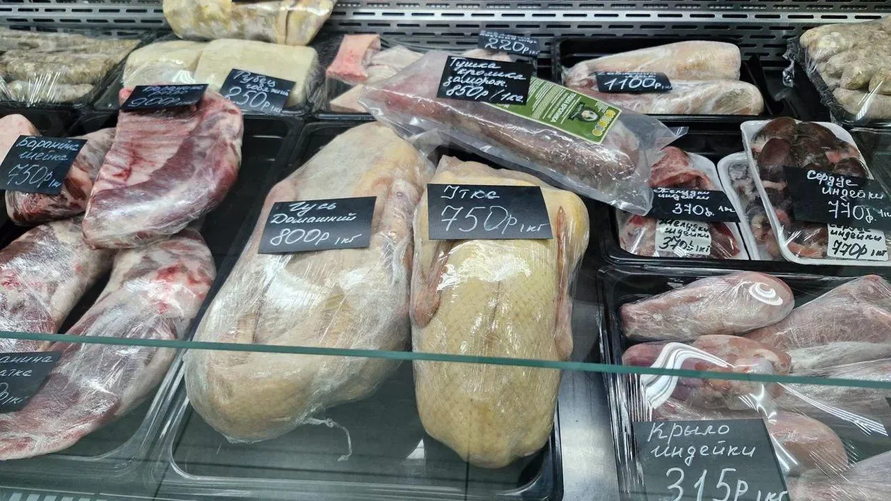 REGIONS/Наталья Надточая