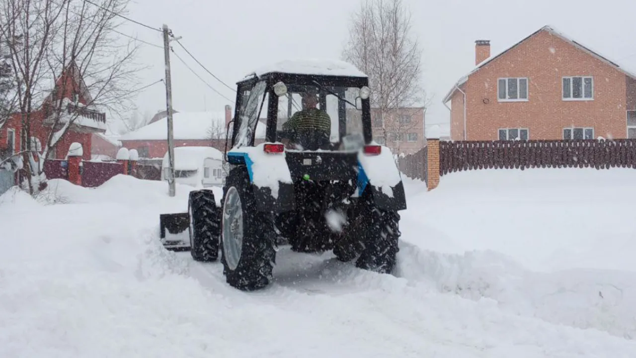 Фото: t.me/egorevskoelesnichestvo