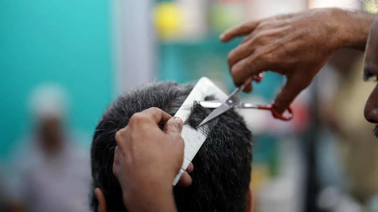 shameersrk/Pixabay (демонстрационное фото)