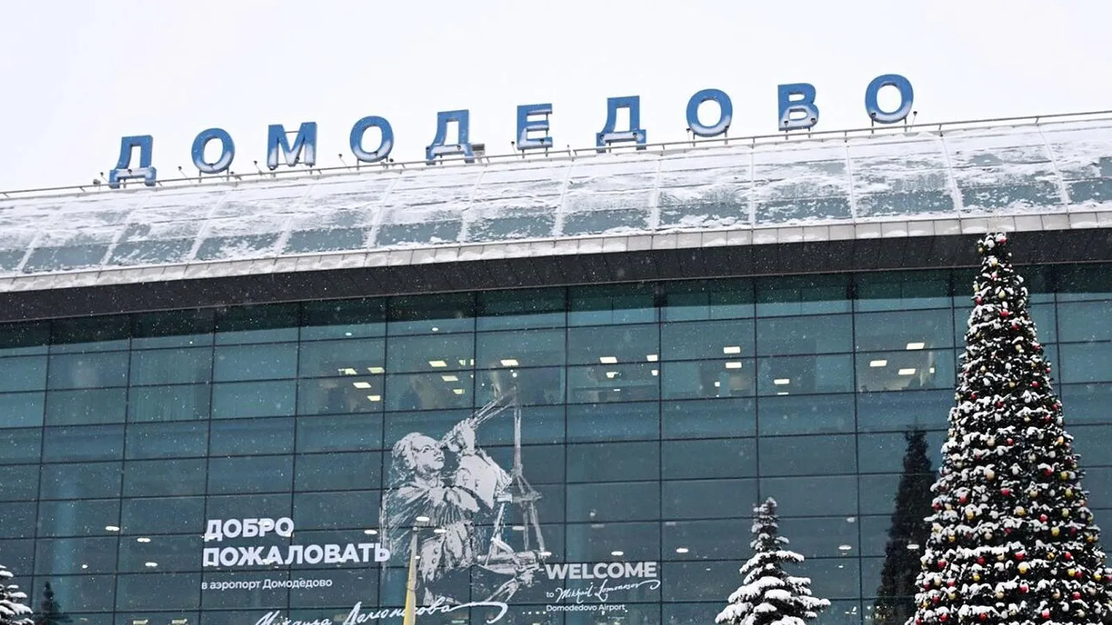 Аэропорт Домодедово. Пелагия Тихонова