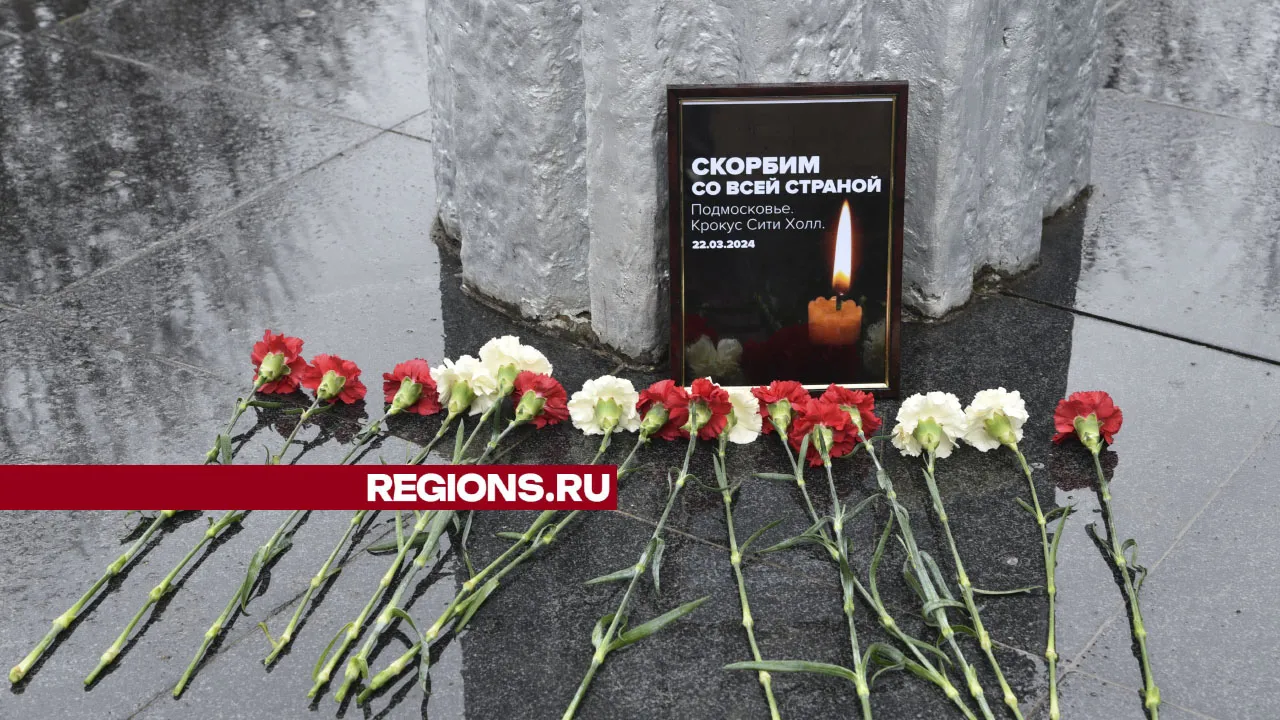 Фото: Владимир Останин